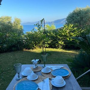 B&B Villa Jasmine